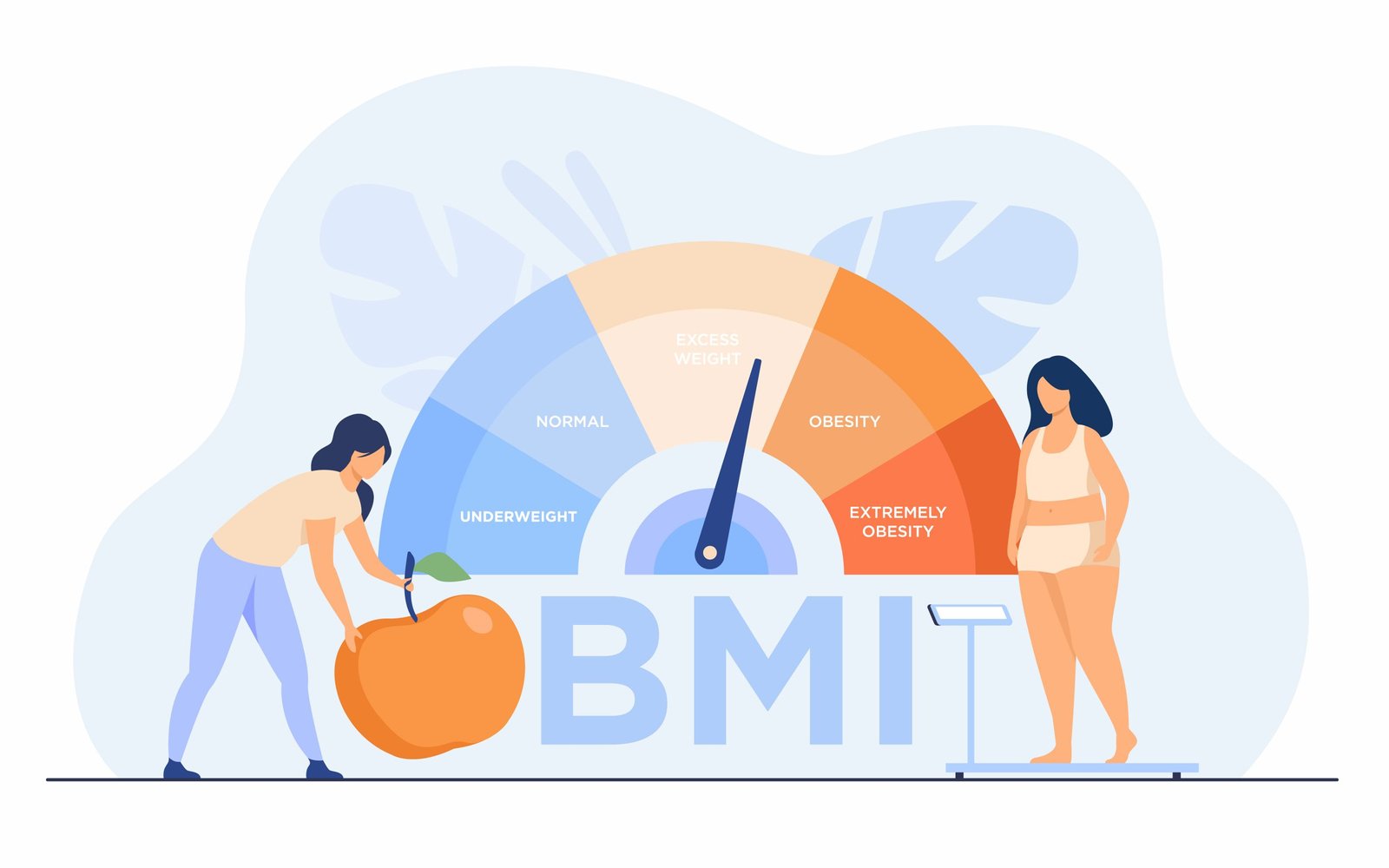 Bmi